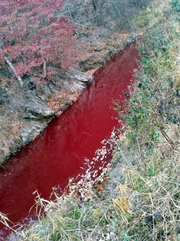 in a handout photo taken on november 10 2019 and released on november 13 shows a river coloured red with pigs blood in yeoncheon county near the demilitarize zone dmz between north and south korea photo afp in a handout photo taken on november 10 2019 and released on november 13 shows a river coloured red with pigs blood in yeoncheon county near the demilitarize zone dmz between north and south korea photo afp