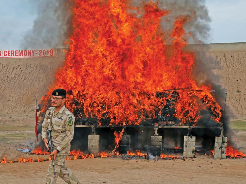 an anf official walks next to a pile of confiscated drugs which were set on fire during a ceremony in peshawar photo reuters