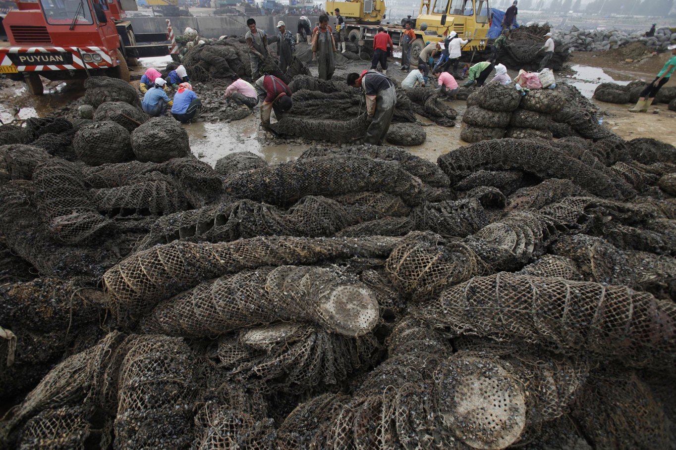 Updated Jul 23, 2010