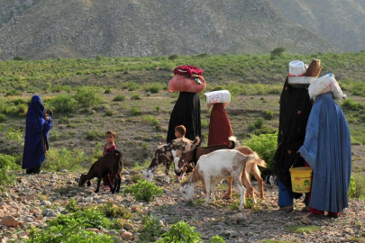 kurram refugees idps receive free medical aid