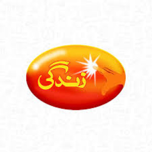 zindagi trust paving the way zindagi trust paving the way