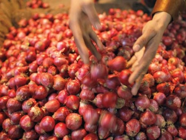 the price of onions has soared since india banned exports in september after heavy monsoon reduced the crop photo afp file