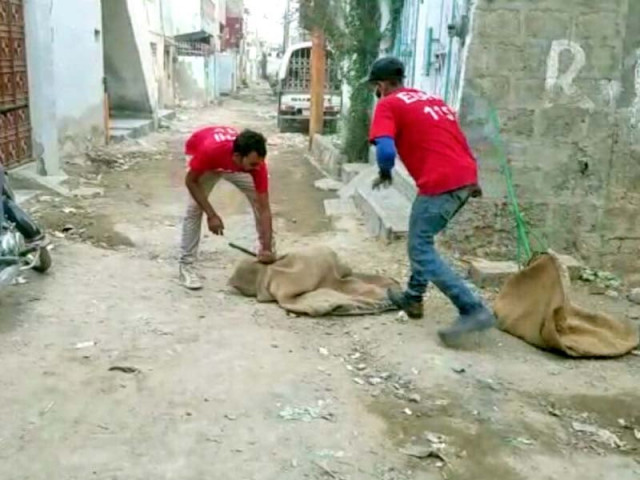with the government machinery unable to control the growing population of stray dogs edhi workers have sprung into action and are visiting areas across the city to catch them photo nni with the government machinery unable to control the growing population of stray dogs edhi workers have sprung into action and are visiting areas across the city to catch them photo nni