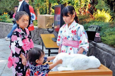 tree planted at japanese mission