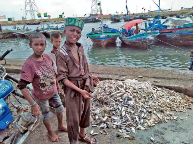 young fishermen pose alongside their catch at ibrahim hyderi the fisher folk community has been struggling to make ends meet as the marine population has declined over the years photo express young fishermen pose alongside their catch at ibrahim hyderi the fisher folk community has been struggling to make ends meet as the marine population has declined over the years photo express