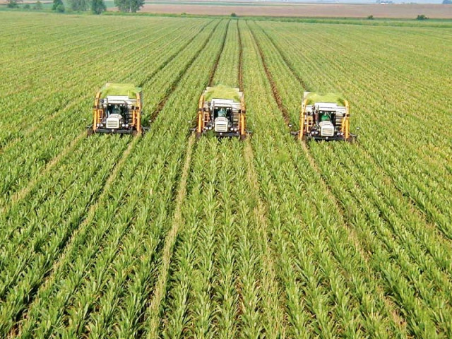 the agriculture sector could not be left out due to the inherited limitation of resources and various challenges in the way of moving from conventional methods of farming to modern technologies photo file the agriculture sector could not be left out due to the inherited limitation of resources and various challenges in the way of moving from conventional methods of farming to modern technologies photo file