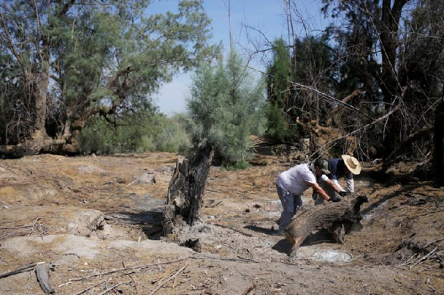 mexican graves photo reuters mexican graves photo reuters