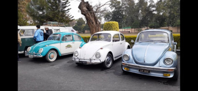 vintage classic cars caravan sets off