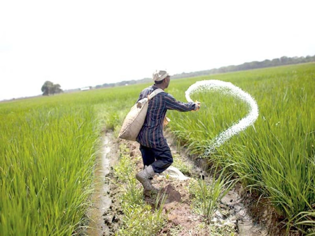 in addition to the increase in foreign currency revenues the exports may also help in bridging the fiscal deficit photo reuters in addition to the increase in foreign currency revenues the exports may also help in bridging the fiscal deficit photo reuters