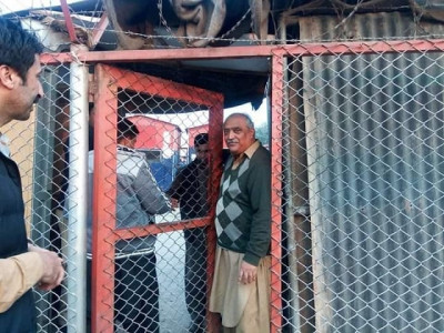 gulalai ismail s father released on bail gulalai ismail s father released on bail