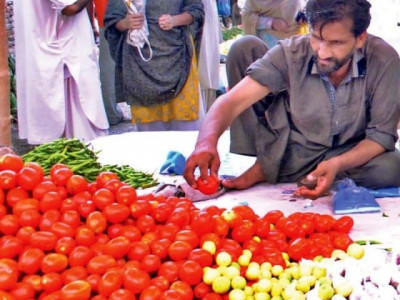 boycott tomatoes boycott tomatoes