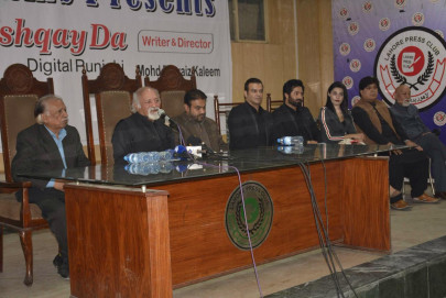 can punjabi films fill the bollywood void