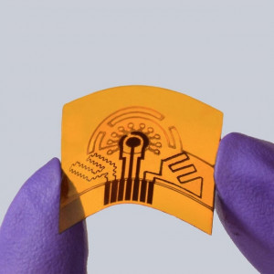 us researchers develop wearable sweat sensor us researchers develop wearable sweat sensor