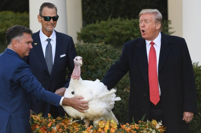 in pictures turkeys bread and butter get us presidential pardon in pictures turkeys bread and butter get us presidential pardon