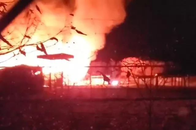 a zebra and a giraffe escaped the flames and were secured by park officials screengrab a zebra and a giraffe escaped the flames and were secured by park officials screengrab