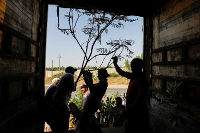 pakistani man sends 50 000 trees to iraq to provide shade to pilgrims pakistani man sends 50 000 trees to iraq to provide shade to pilgrims