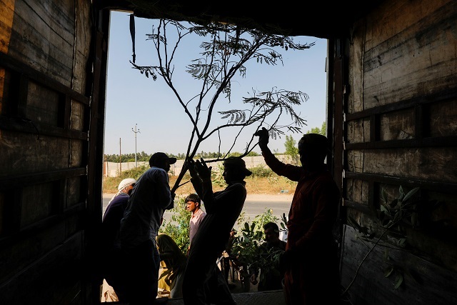 labourers load a truck with trees and plants to be transported for planting along the pilgrimage route between iraqi shi 039 ite muslim holy city of najaf and karbala at a farm on the outskirts of karachi photo reuters