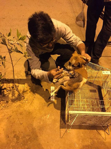 mobile phone app scheduled to be launched on march 23 2020 will track exact location of wounded animals photo courtesy sos pakistan mobile phone app scheduled to be launched on march 23 2020 will track exact location of wounded animals photo courtesy sos pakistan