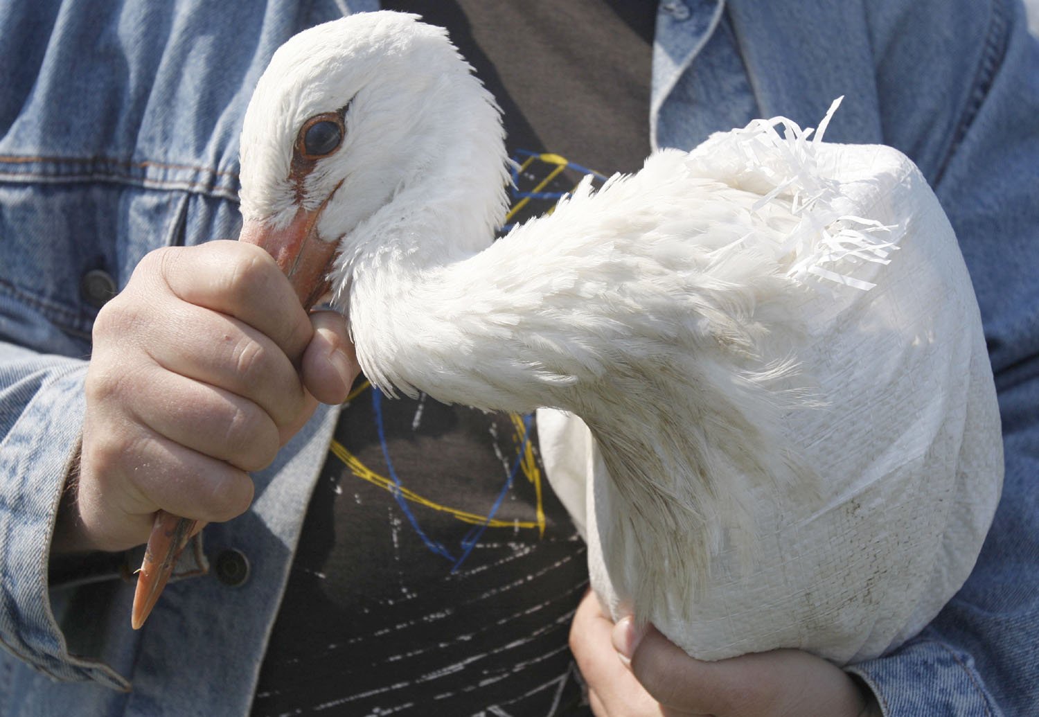 Updated Apr 06, 2011