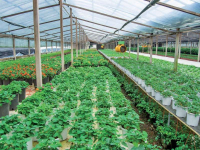 setbacks finances throw a spanner in the works of punjab s farming project setbacks finances throw a spanner in the works of punjab s farming project