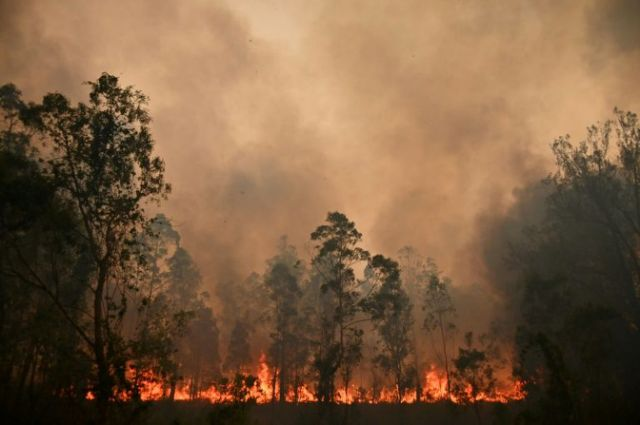 australian bushfires photo afp