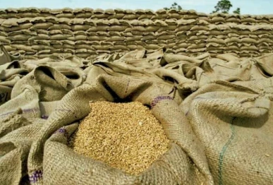 pasco employees in faisalabad among six held for wheat theft