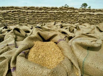 pasco employees in faisalabad among six held for wheat theft