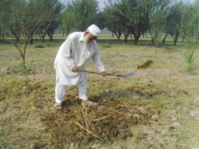 pti govt extends loan waiver for farmers of tribal districts