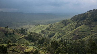 beleaguered dr congo rainforest attacked on all sides beleaguered dr congo rainforest attacked on all sides