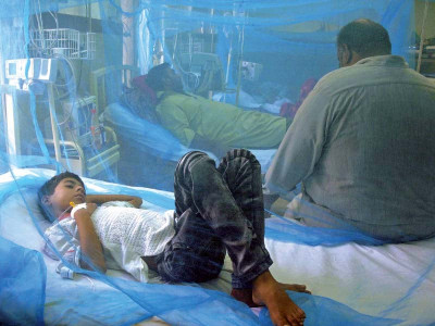 cold helps tame dengue in islamabad cold helps tame dengue in islamabad