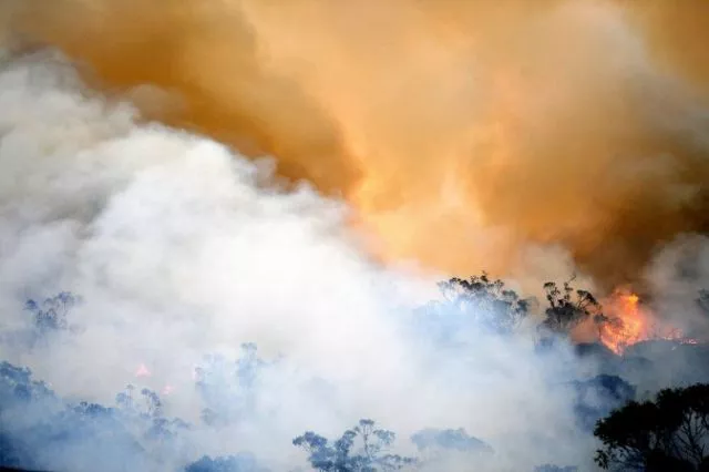 photo afp