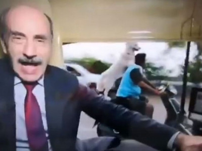 watch bike riding dog photobombs bbc show host watch bike riding dog photobombs bbc show host