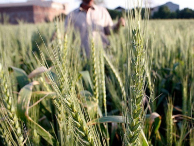 climate change adversely affecting agriculture sector climate change adversely affecting agriculture sector