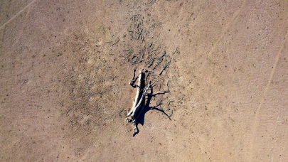 australia probes theft of drinking water in drought hit state australia probes theft of drinking water in drought hit state