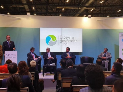 pakistan ecosystem restoration fund launched at un climate summit pakistan ecosystem restoration fund launched at un climate summit