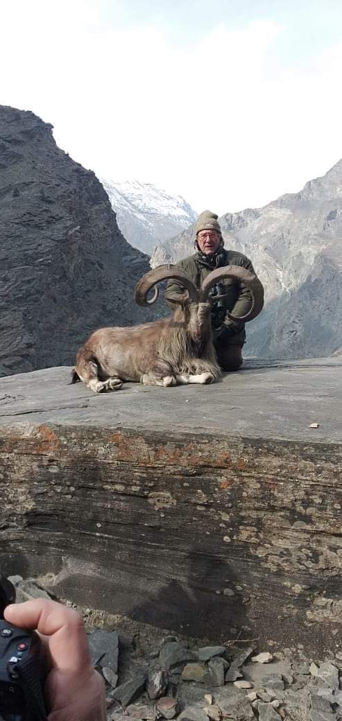 italian hunts season s first markhor in g b