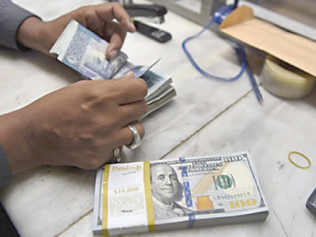 net financial inflows though tepid during 1hfy25 are expected to improve as a sizable part of official debt repayments has already been made photo file net financial inflows though tepid during 1hfy25 are expected to improve as a sizable part of official debt repayments has already been made photo file