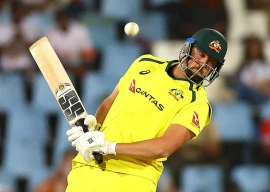 coaches trust australia hitters david coaches trust australia hitters david