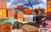 govt pushes food exports to kuwait