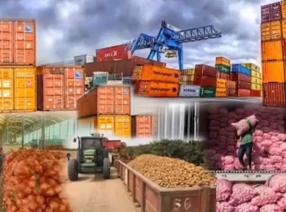 govt pushes food exports to kuwait