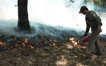 rawalpindi declares forest fire season