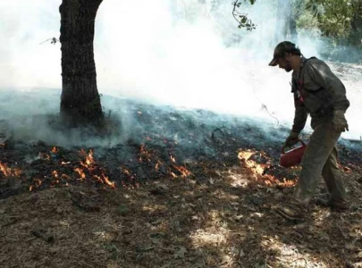 rawalpindi declares forest fire season