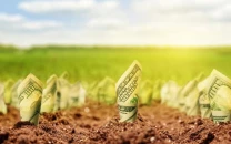 funds sought for organic farming