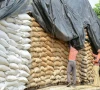 food dept caught with its hand in wheat sack