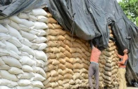 govt approves 750 000 tonnes wheat import as tcp invites bids govt approves 750 000 tonnes wheat import as tcp invites bids