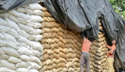 govt approves 750 000 tonnes wheat import as tcp invites bids