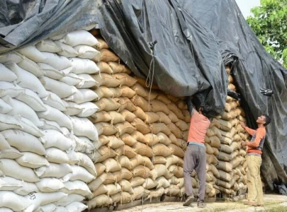 food dept caught with its hand in wheat sack
