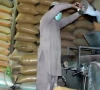 crackdown on hoarding as wheat price surge triggers alarm