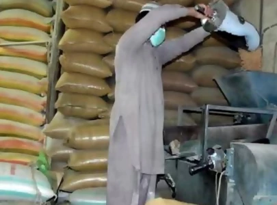 crackdown on hoarding as wheat price surge triggers alarm