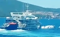 three czechs die in catamaran sailboat collision off croatia
